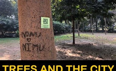 Info about Lodi Gardens trees on QR codes: A great step, but is it enough? QR code on trees, lodhi garden
