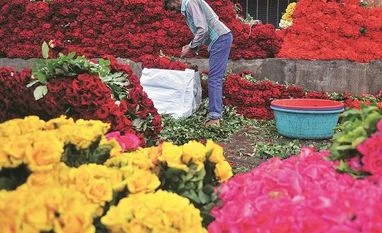 Ferns N Petals to expand operations into Qatar, Saudi Arabia and Indonesia Ferns N Petals to venture into Qatar, Saudi Arabia and Indonesia