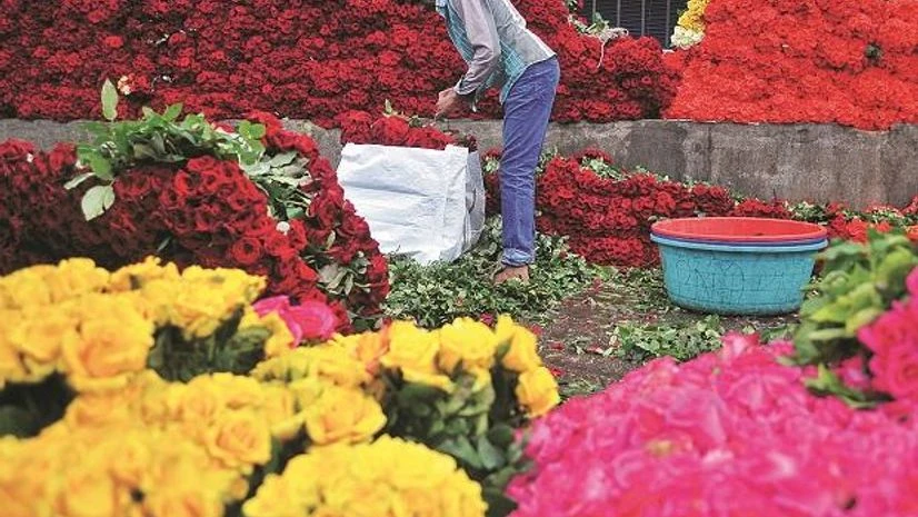 Ferns N Petals to venture into Qatar, Saudi Arabia and Indonesia flowers