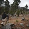 Pakistani reporters and troops visit the site of an Indian airstrike in Jaba, near Balakot, Pakistan