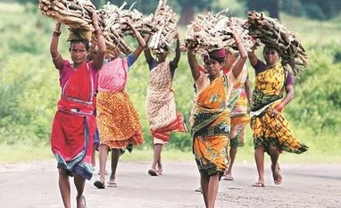 Govt launches portal to collect data related to tribal migrant workers Supreme Court stays Feb 13 order to evict nearly 1.89 million tribals