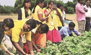 Chennai-based agri-commerce firm WayCool lines up Rs 250 crore ESOP WayCool, food supply