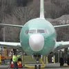 Low-cost carrier Norwegian Air buys 50 Boeing 737 aircraft