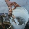 Water