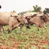 ~9,400 cr spent on PM Kisan this fiscal year against allocation of ~20,000 cr