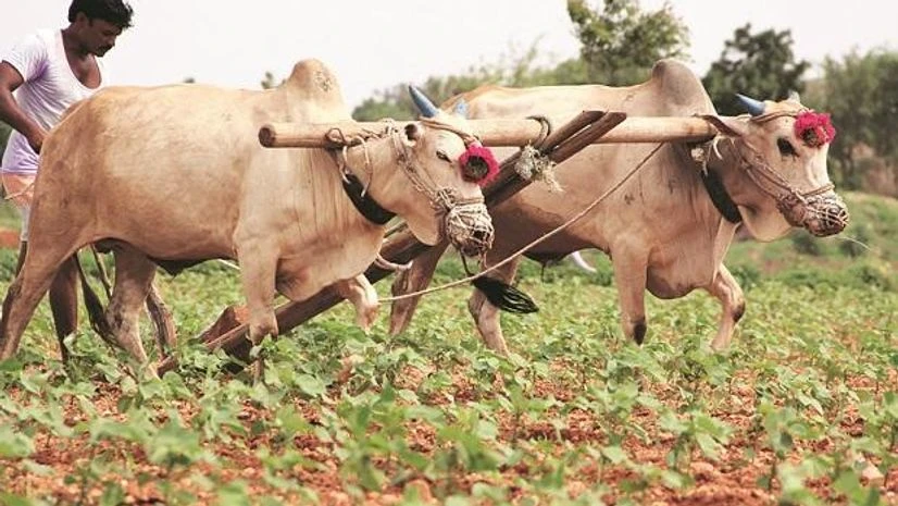 farmers, agriculture ~9,400 cr spent on PM Kisan this fiscal year against allocation of ~20,000 cr