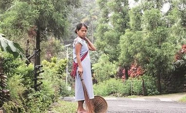 Eviction drive to clear 500 hectares of forest land in Assam: Officials Forest Rights Act, tribal eviction