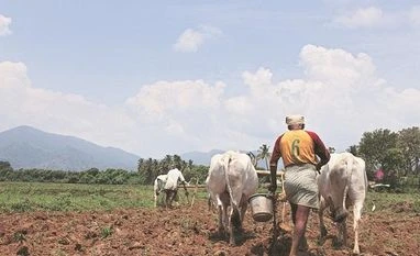 Crying for attention farmer, agriculture