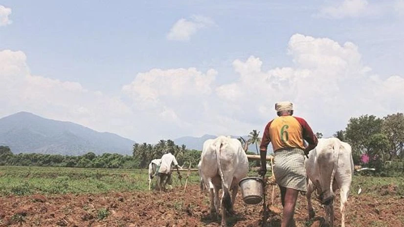 farmer, agriculture farmer, agriculture