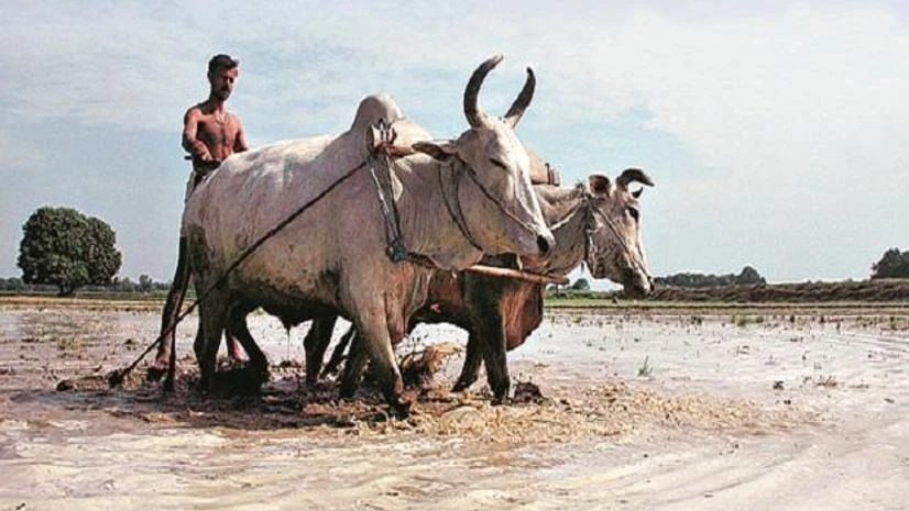 Farm, farmers, agriculture Farm, farmers, agriculture