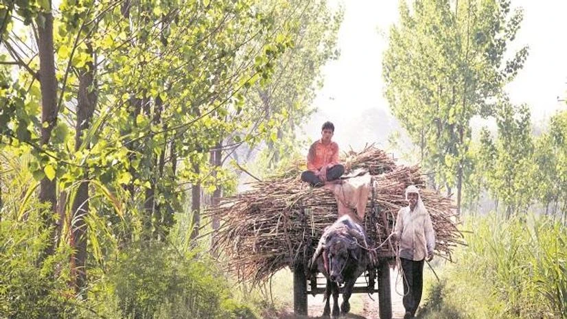 Farmers, village, farming Farmers, village, farming