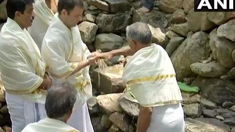 Rahul Gandhi Lok Sabha Elections 2019