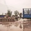 Compensation for crop damage to farmers goes up in Madhya Pradesh