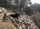 waste, garbage, dumsite, hills The residents hoped that once the Nagar Palika saw what could be done if someone put their mind to it, they would start doing it