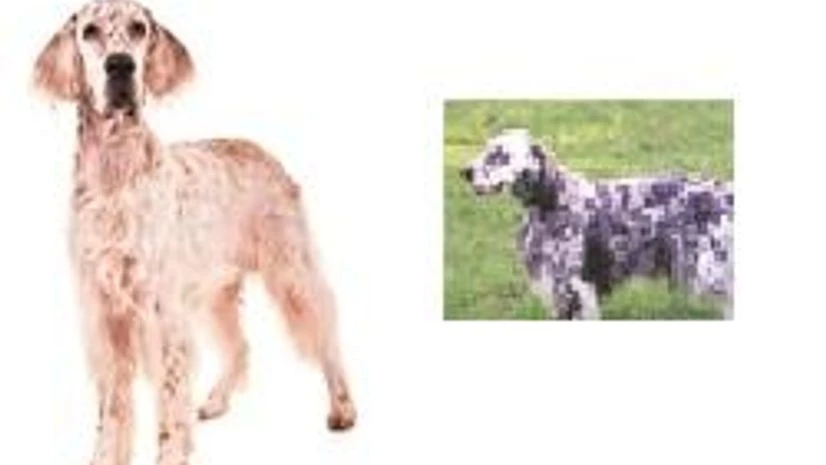 The Strategist Quiz #611 The Strategist Quiz #611