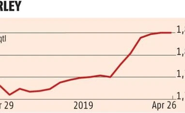 Commodity Picks: 29 April, 2019 barley