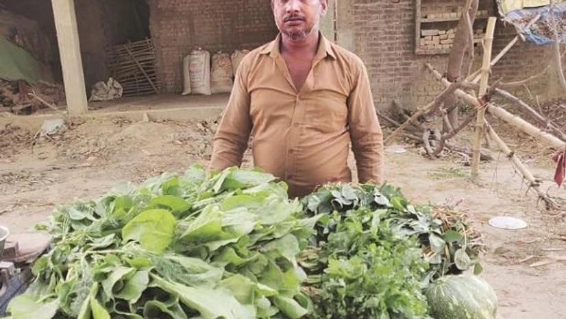 vegetable vendor vegetable vendor