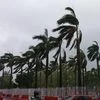 Cyclone Amphan threat for Andhra Pradesh, Odisha, West Bengal: Skymet