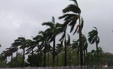Rs 58.6-cr damage in AP as Cyclone Fani ruins crops, uproots 10,000 trees Cyclone Fani