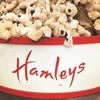 Hamleys’ global business operations  have been under pressure