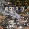 Police personnel look on near vehicles burnt by a mob during BJP President Amit Shah's election roadshow for the last phase of Lok Sabha polls, in Kolkata, Tuesday | Photo: PTI