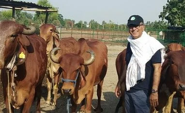 Organic food: The health mantra many are chanting to make a quick buck Gir cows