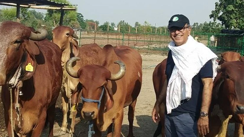 Gir cows Driven by a passion for organic food, Sanjay Bhalla started an exclusive gir cow dairy farm ‘The Way We Were’ in 2013. He insists on feeding dairy cattle with farm-grown organic fodder and rearing in them the natural way