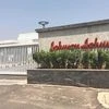 Johnson & Johnson's, J&J