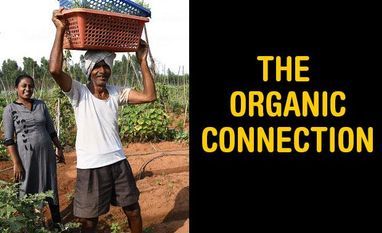 farming, organic farming farming, organic farming