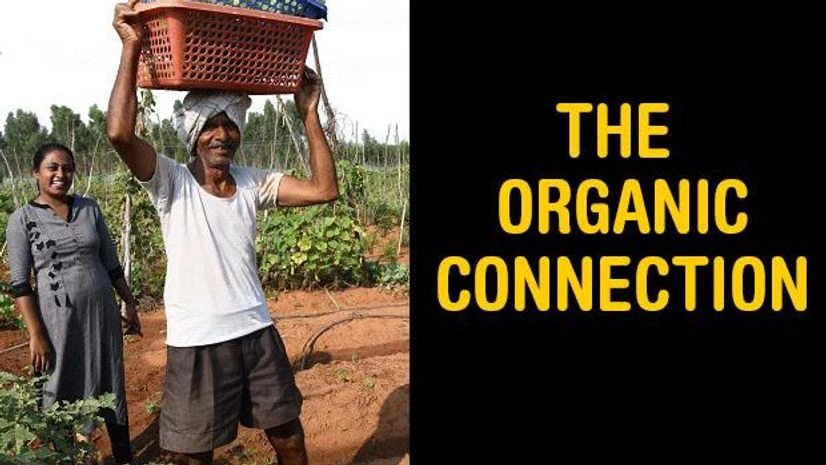 farming, organic farming farming, organic farming