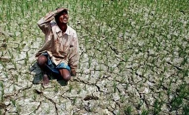 Nine states, one UT in red due to monsoon rainfall deficit, says IMD drought