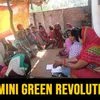 Shramik Bharti trains farmers to use desi seeds, make their own fertiliser