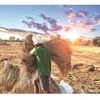Budget 2019 agriculture wishlist: Increase farmer income, investment in R&amp;D