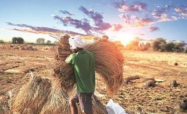 The agri-tech start-ups that are transforming agriculture in India Budget 2019 agriculture wishlist: Increase farmer income, investment in R&D