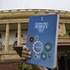 The Budget, the Survey and the trilemma