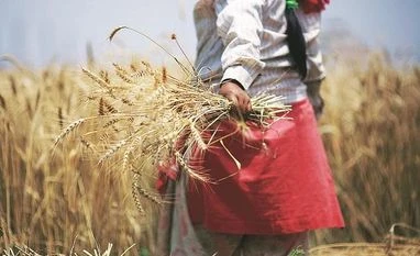 Budget 2020 proposes Kisan Rail in PPP mode for cold supply chain Economic Survey 2019: Private investment in agriculture is falling