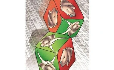 Gail India, Emami, Shriram Transport Finance on fund managers' radar mutual funds