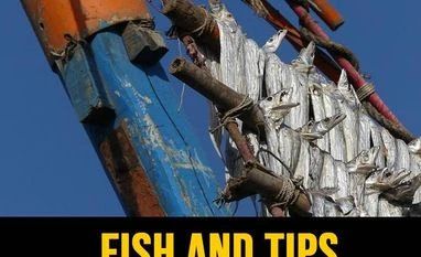 Diu's fishing village of Vanakbara: A great place if you can bear the smell large-head hairtail fish being dried for local consumption