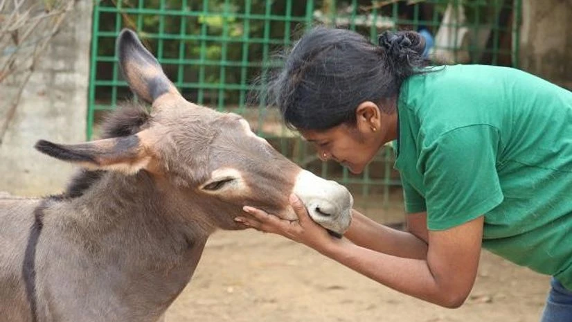 Shiranee Pereira Shiranee Pereira