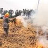 stubble burning