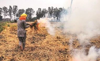 Stubble burning: Authorities look for solutions; PM Modi reviews situation stubble burning