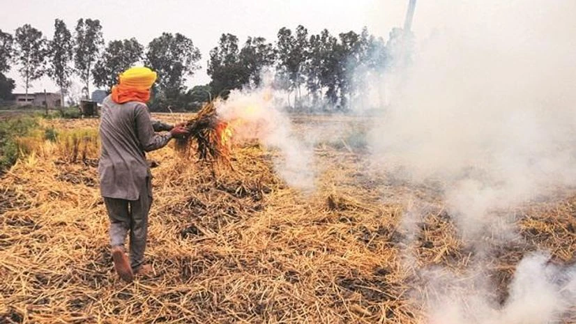 stubble burning stubble burning