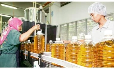 Ban palm oil import from FGV in Malaysia: Activists to US customs Representative image