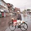 kashmir