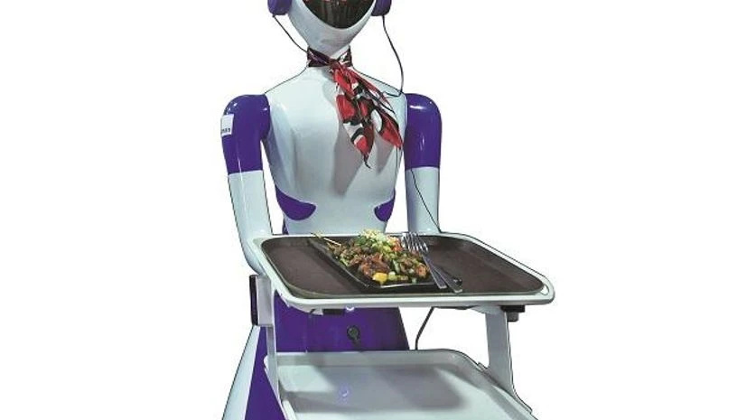 robot, robot themed restaurant robot, robot themed restaurant