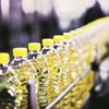 The long and politically tortuous journey to fight plastic menace