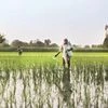 Why recent moves to reduce water in agriculture will have limited impact