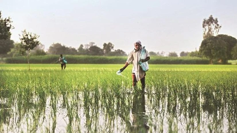 Why recent moves to reduce water in agriculture will have limited impact Why recent moves to reduce water in agriculture will have limited impact