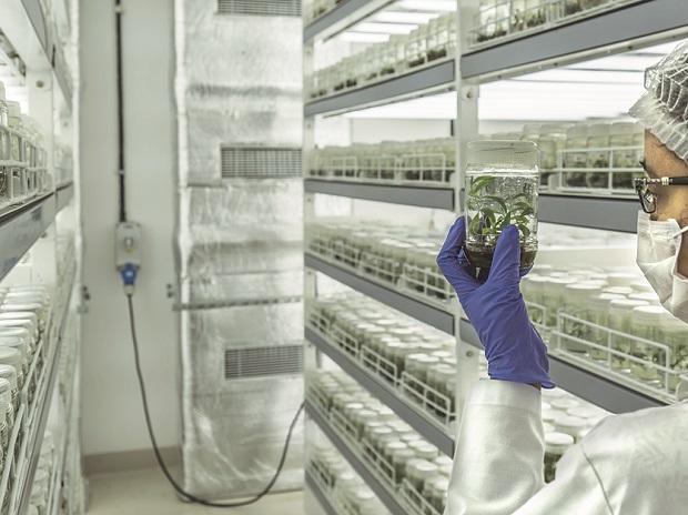 Goldman Sachs buys stake in contract research firm Aragen Life Sciences