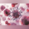 Zydus Lifesciences receives USFDA approval to produce prostrate cancer drug | Health News Why aren't cancer drugs better? The targets might be wrong